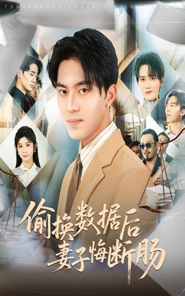 偷换数据后妻子悔断肠（63集）王言睿&吴帆 高清完整版