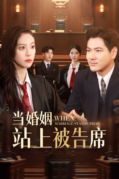当婚姻站上被告席（30集）刘林&刘涵飞 高清完整版