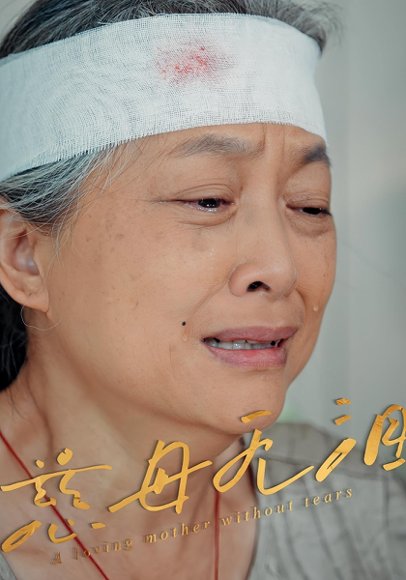 慈母无泪（30集） 高清完整版